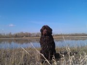 Превью фото № 125474