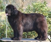 Превью фото № 125480