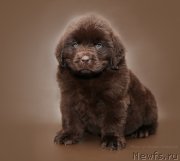 Превью фото № 125484