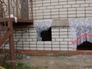 Превью фото № 125492