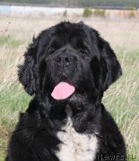 Превью фото № 125525