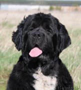 Превью фото № 125526