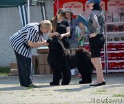 Превью фото № 125545