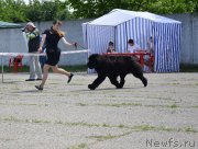 Превью фото № 125546