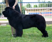 Превью фото № 125556