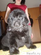 Превью фото № 125598