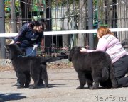 Превью фото № 125638