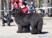 Превью фото № 125641