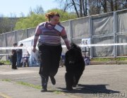 Превью фото № 125642