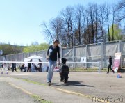 Превью фото № 125643