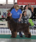 Превью фото № 125646