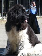 Превью фото № 125653