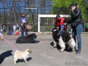 Превью фото № 125656