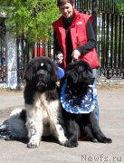 Превью фото № 125658