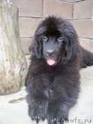 Превью фото № 125665