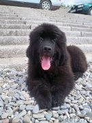 Превью фото № 125684