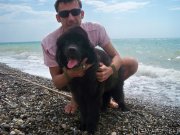 Превью фото № 125686