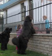 Превью фото № 125733