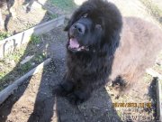 Превью фото № 125773