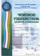 Превью фото № 125782