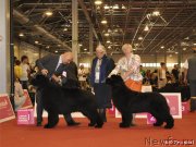 Превью фото № 125787