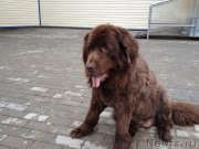 Превью фото № 125847