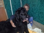 Превью фото № 125852