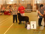 Превью фото № 125871