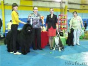 Превью фото № 125970