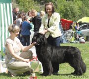 Превью фото № 125995