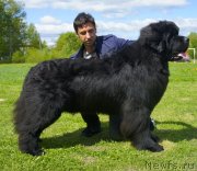 Превью фото № 126003