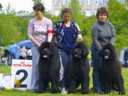 Превью фото № 126012