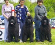 Превью фото № 126013