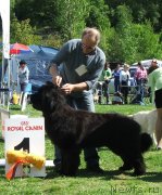 Превью фото № 126032