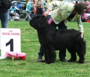 Превью фото № 126051