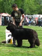 Превью фото № 126054