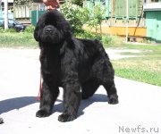 Превью фото № 126058