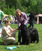 Превью фото № 126059