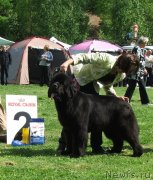 Превью фото № 126060