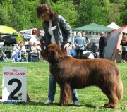 Превью фото № 126065