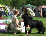 Превью фото № 126067