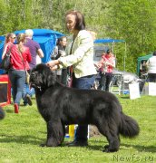 Превью фото № 126099