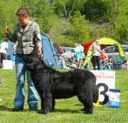 Превью фото № 126100