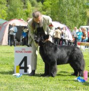 Превью фото № 126101