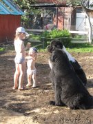 Превью фото № 126152