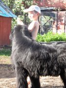 Превью фото № 126154