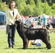 Превью фото № 126227