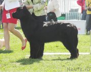 Превью фото № 126229