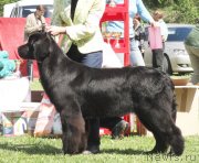 Превью фото № 126231