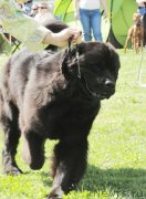 Превью фото № 126236